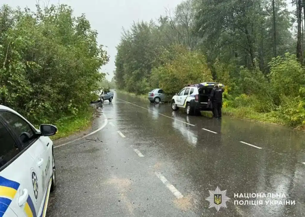 ДТП на Коростенщині: четверо травмованих, серед них 15-річний підліток
