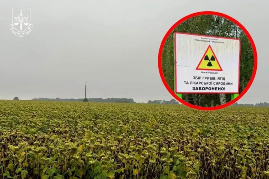 На Житомирщині викрили схему вирощування культур на радіоактивно забруднених землях