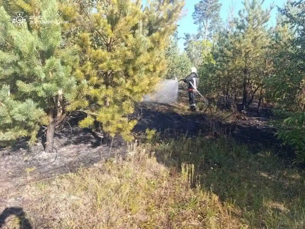 На Житомирщині рятувальники за добу загасили вісім пожеж сухостою та сміття