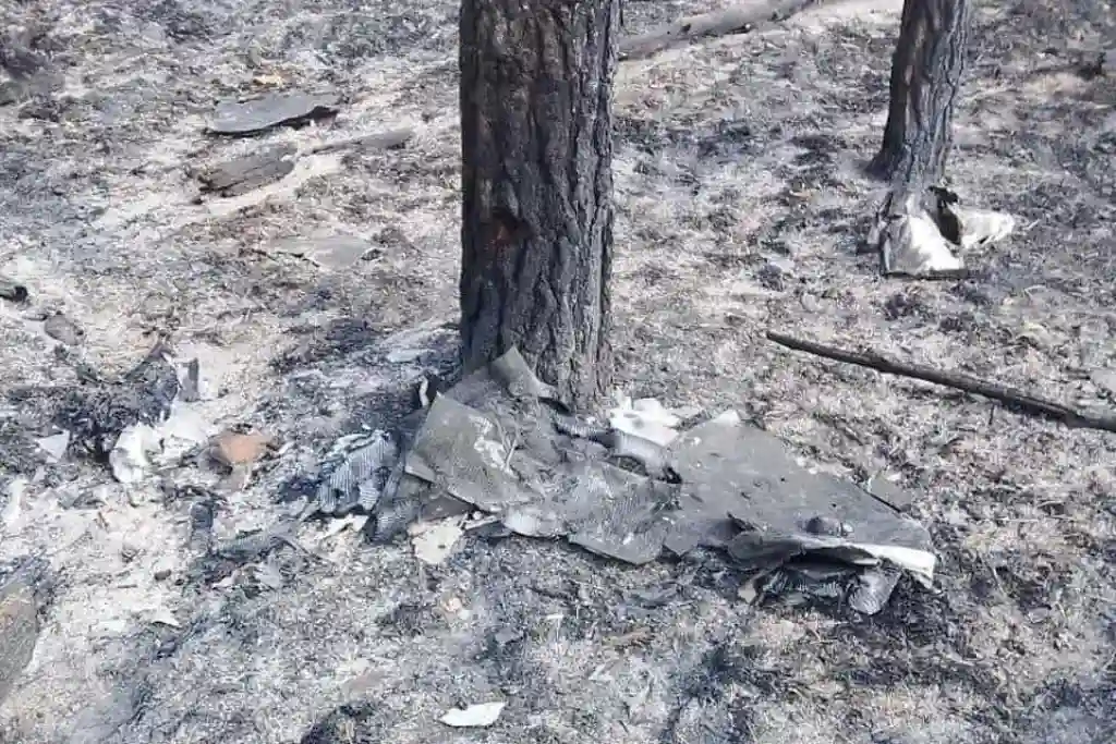 На Житомирщині та Київщині через падіння дронів спалахнули лісові пожежі