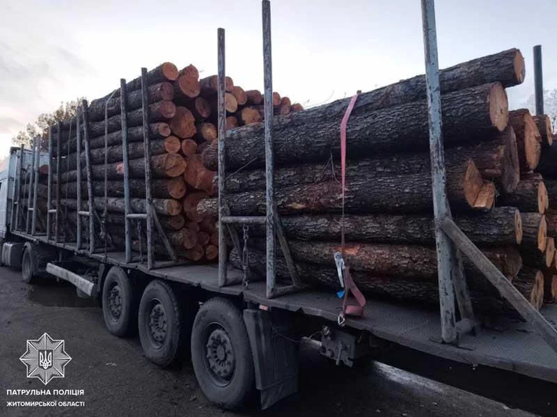 На автотрасі в Коростенському районі патрульні зупинили DAF, що перевозив вільху: бирки були повторного використання