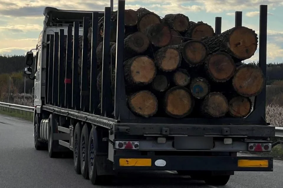 На автотрасі в Коростенському районі патрульні зупинили DAF, що перевозив вільху: бирки були повторного використання