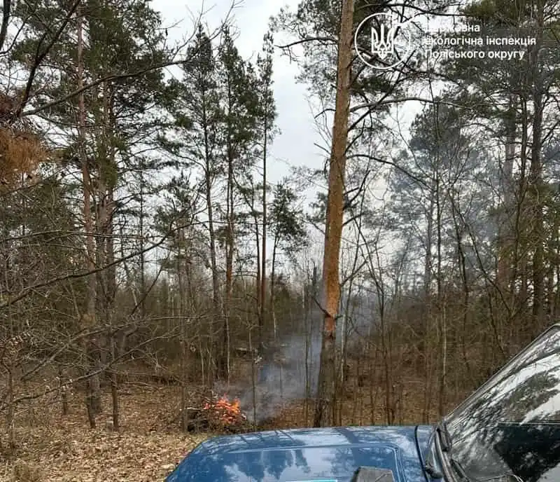 Біля села Коростенського району екологи виявили чоловіка, який розпалював вогонь поблизу лісу
