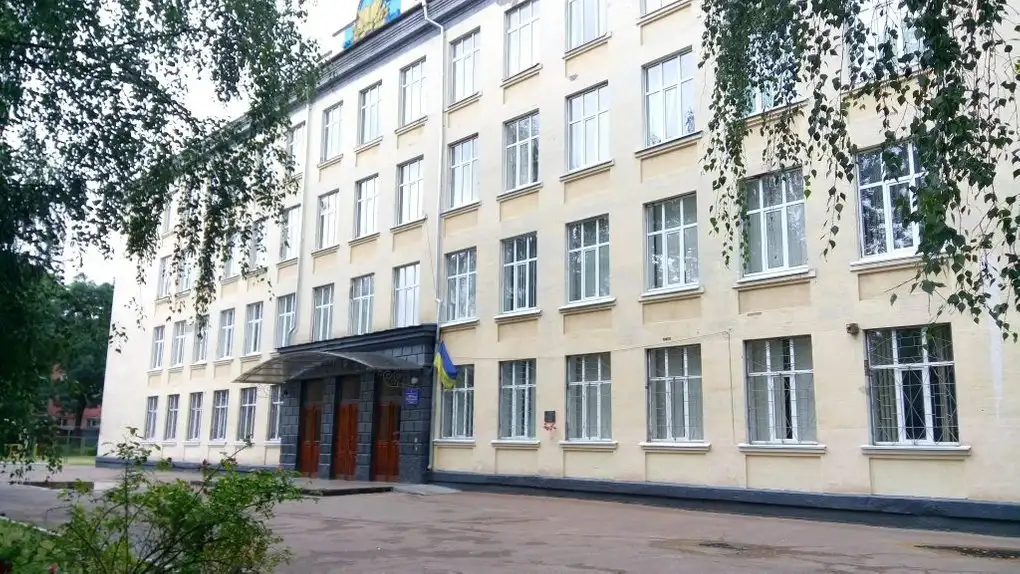 Реформа профільної старшої школи: на Житомирщині відкриються 65 академічних ліцеїв
