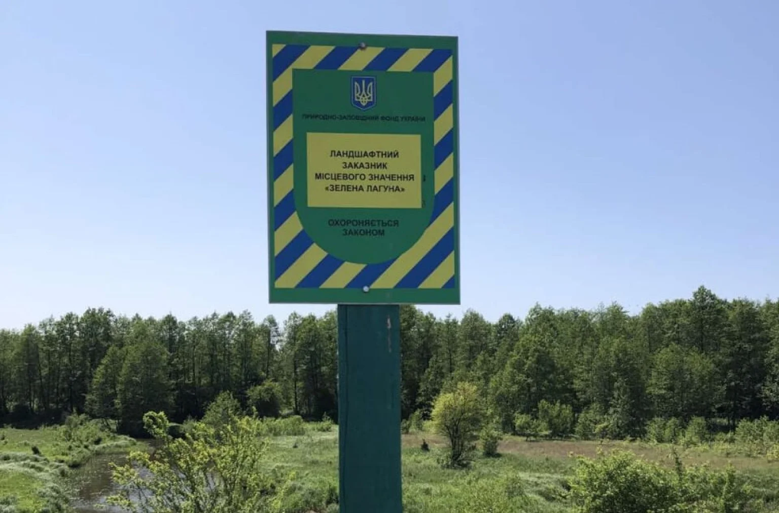 Екологи вимагають компенсацію за вирубку в заказнику Зеленa лагуна – позов подано до селищної ради