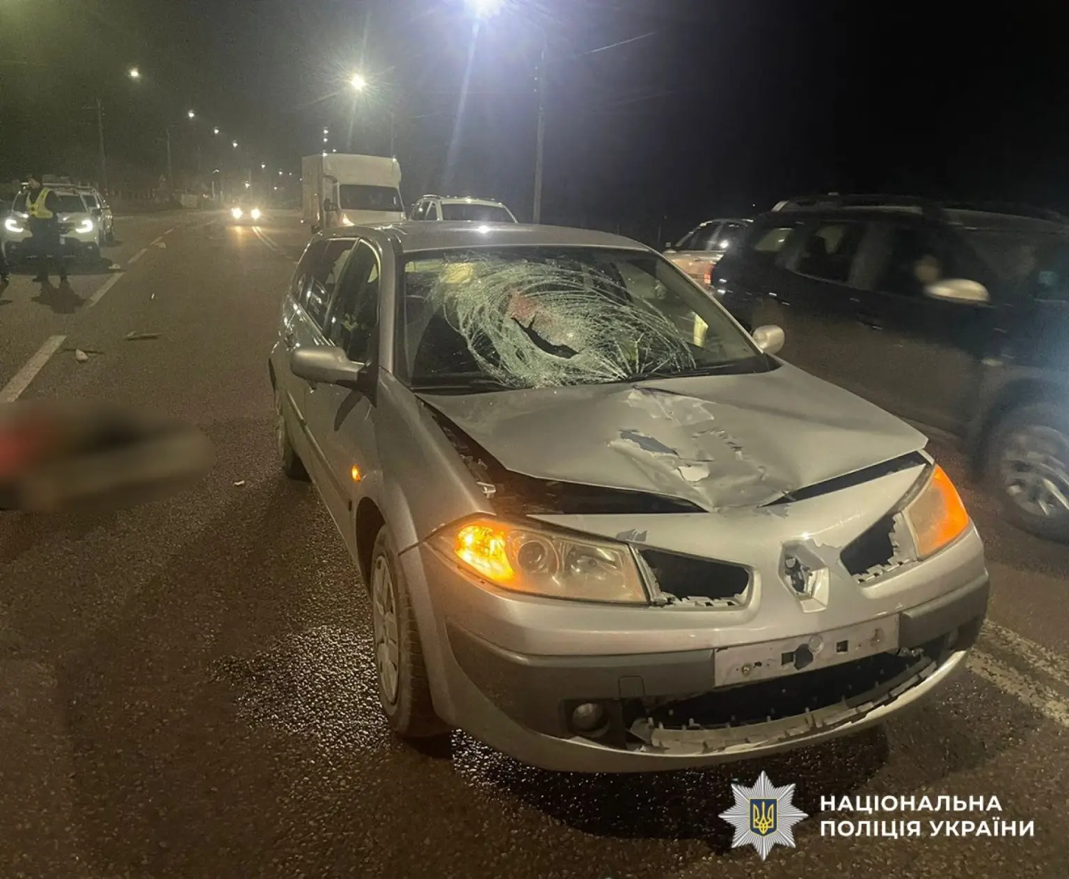 Трагічний інцидент під Житомиром: під колесами автомобіля загинула пенсіонерка