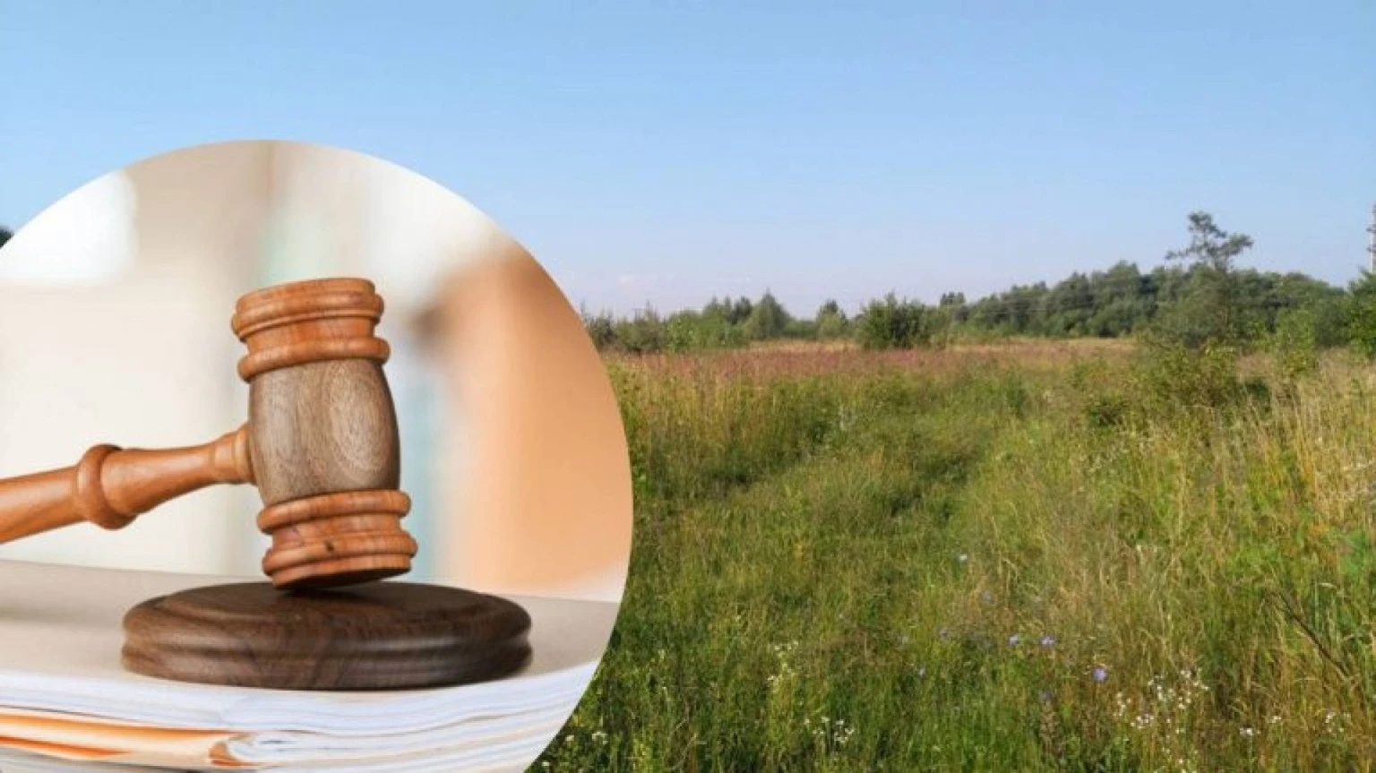 На Житомирщині підприємство сплатить понад 633 тис. грн за користування землею без договору