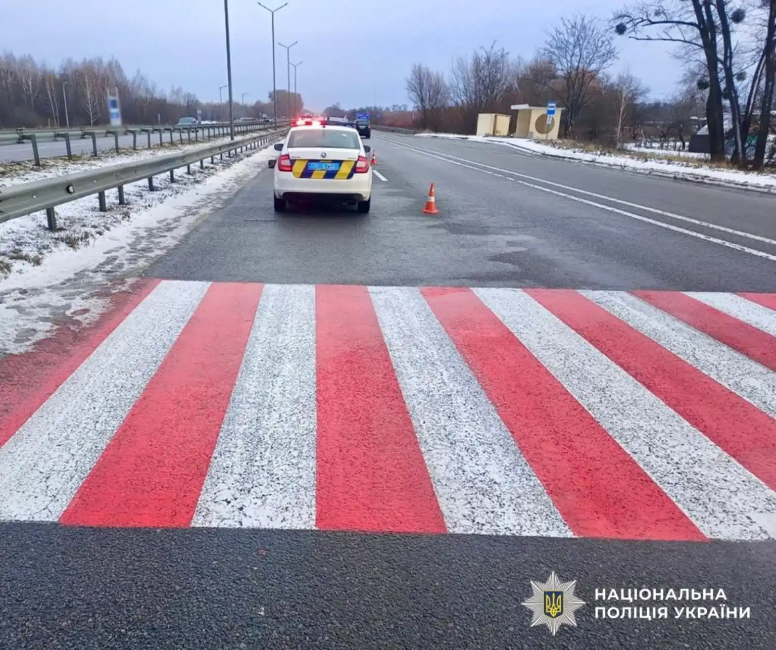 На трасі Київ–Чоп у Звягелі легковик збив пенсіонерку: жінка у реанімації