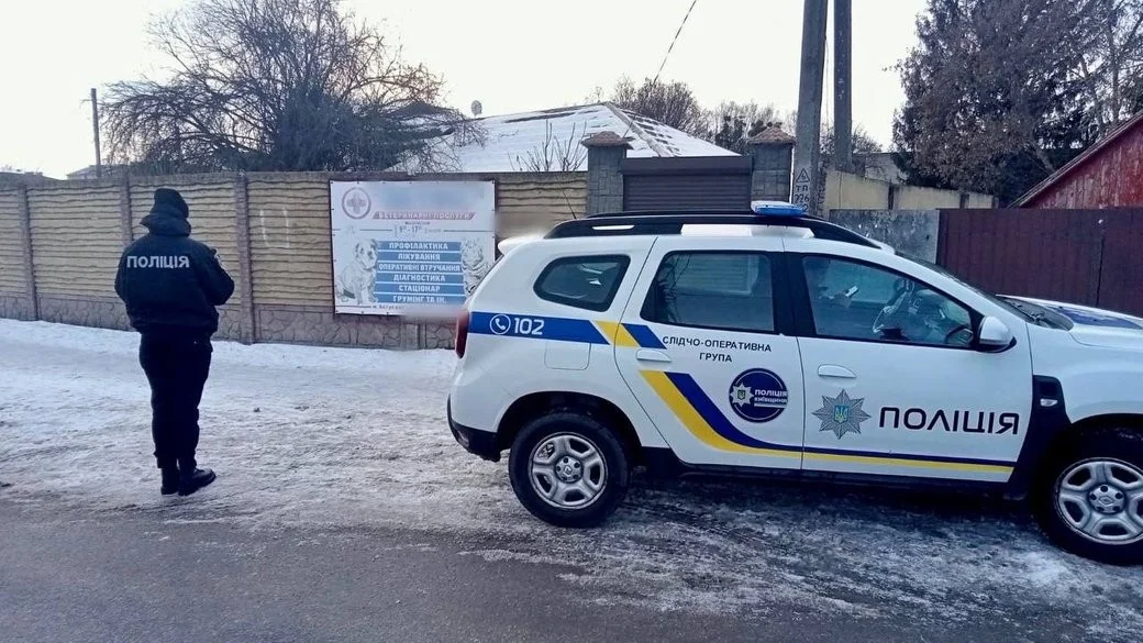 На Білоцерківщині відкрили справу через жорстоке поводження з кошеням