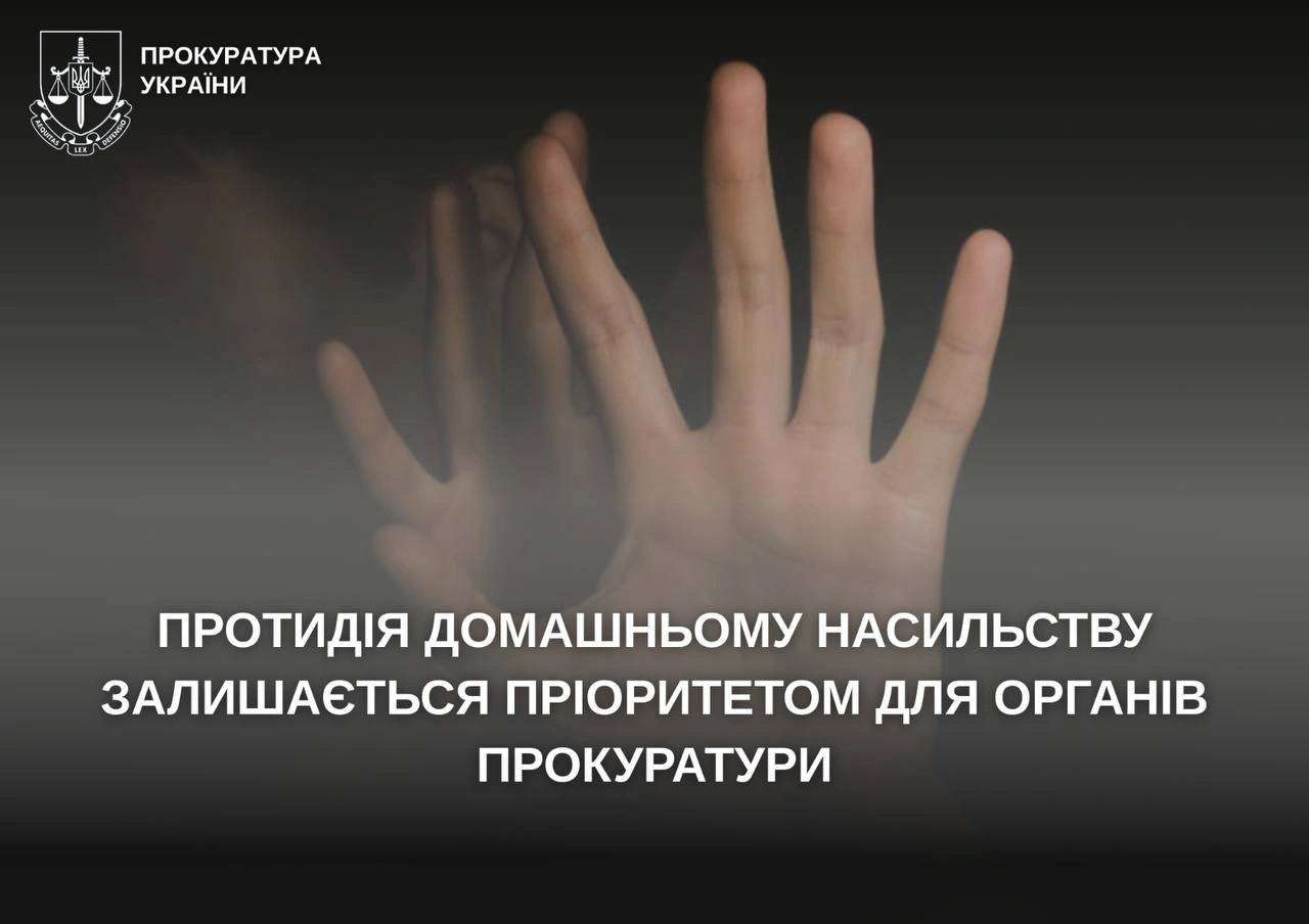 Домашнє насильство під контролем прокуратури: підсумки року на Звягельщині