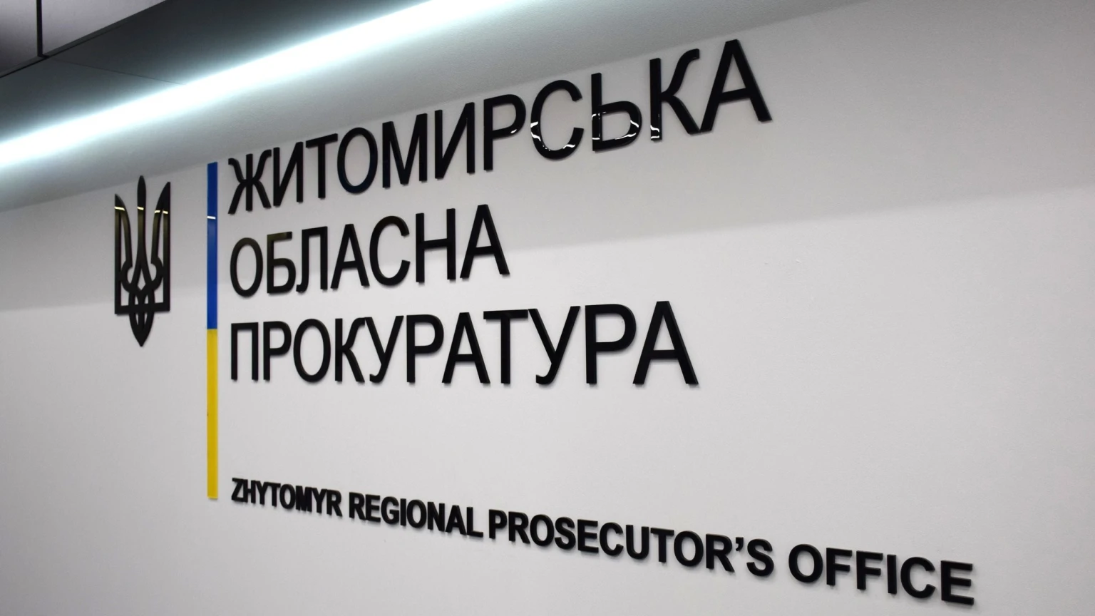 «Золота» сантехніка та пластикові плінтуси: за ремонт бердичівського Центру позашкілля екскерівнику загрожує в’язниця