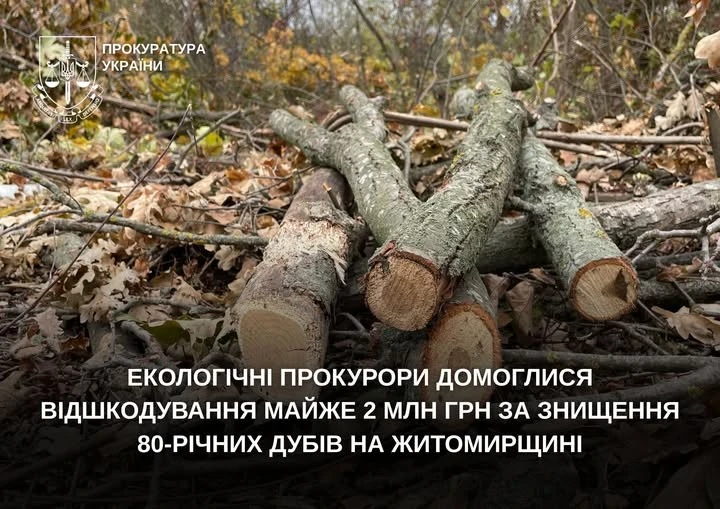 Ціна недбалості у заказнику: за зрубані вікові дуби на Житомирщині стягнули 2 мільйони гривень