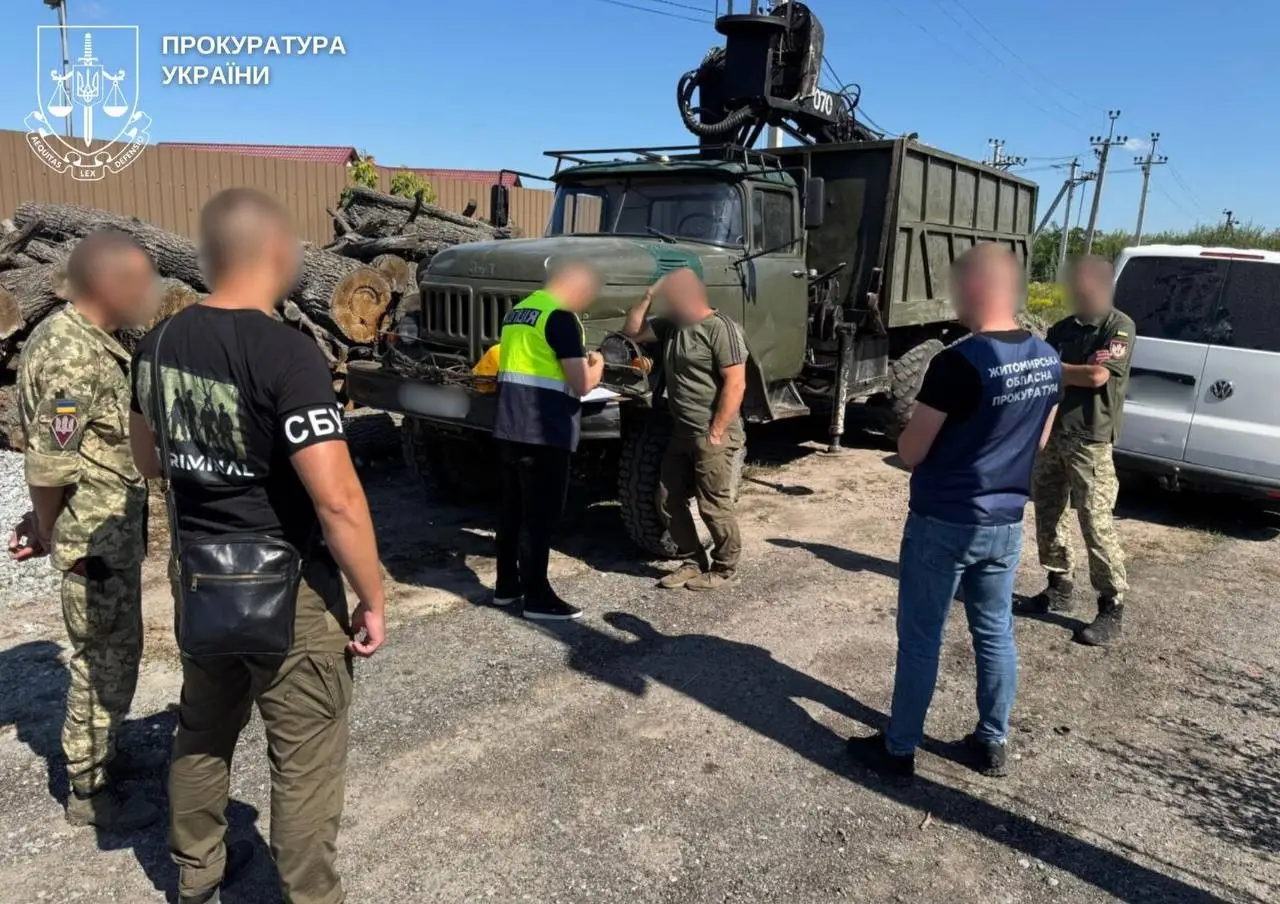 Елітна деревина за ціною дров: на Житомирщині викрили корупційну схему в лісовій галузі