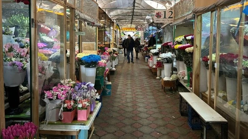 Квітковий ажіотаж у Житомирі: чи піднімуться ціни до 8 березня