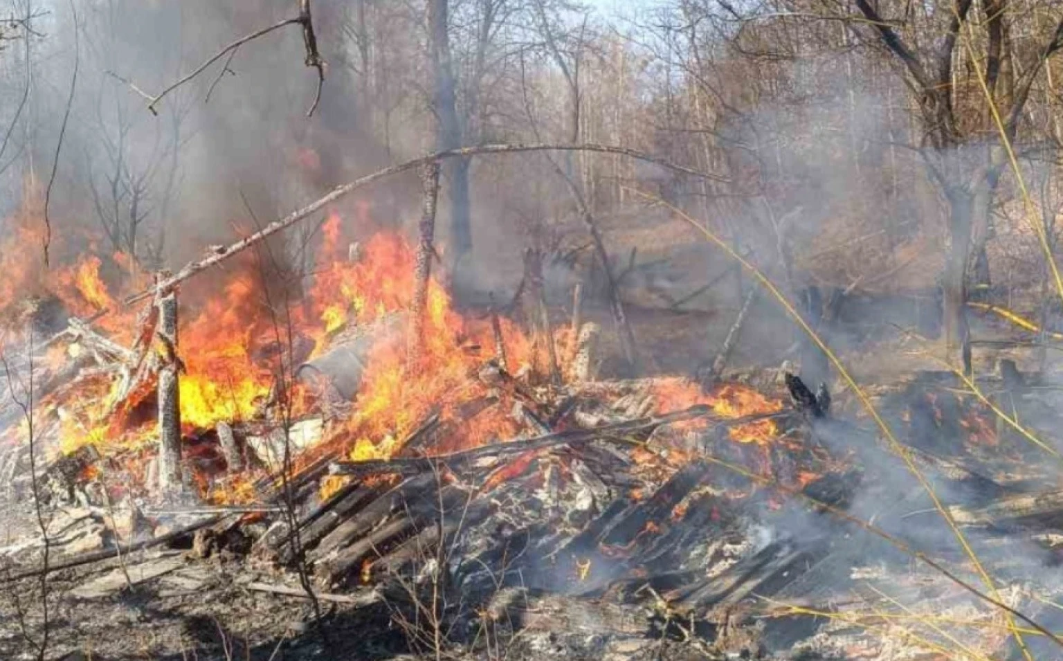 Бурштинові торги на Житомирщині: спецдозвіл на розробку ділянки в Коростенському районі пішов з молотка за 5 мільйонів