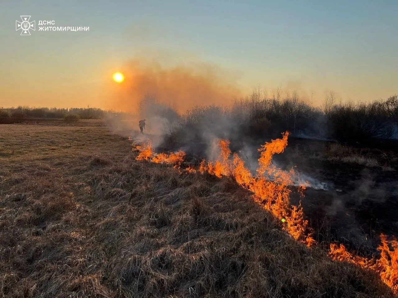 Вогняна стихія на Житомирщині: за добу знищено 7 гектарів екосистем