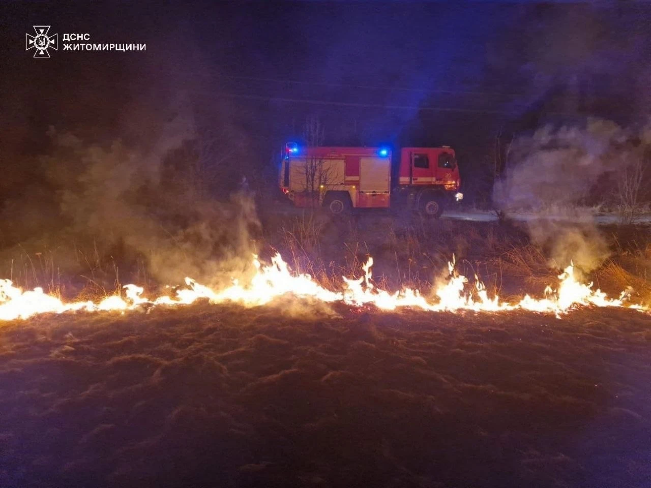 Вогняна стихія на Житомирщині: за добу знищено 7 гектарів екосистем