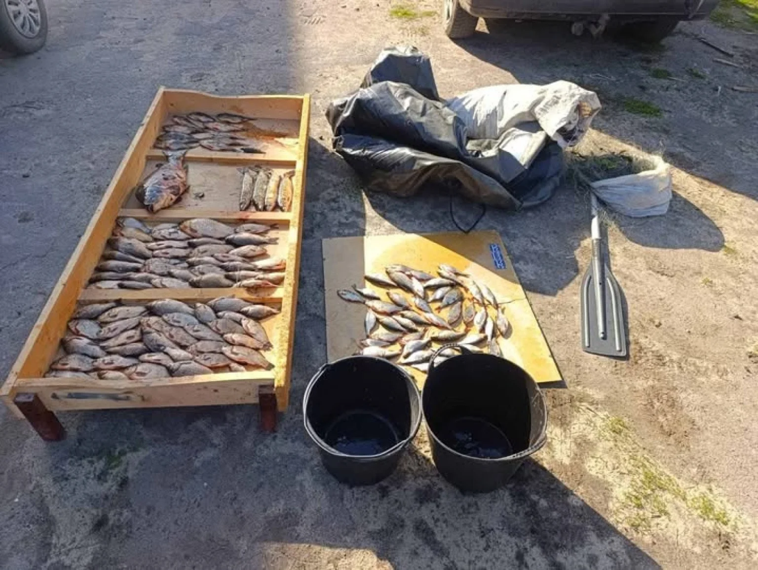 Майже чверть мільйона гривень збитків: на Житомирщині затримали браконьєра з великим уловом