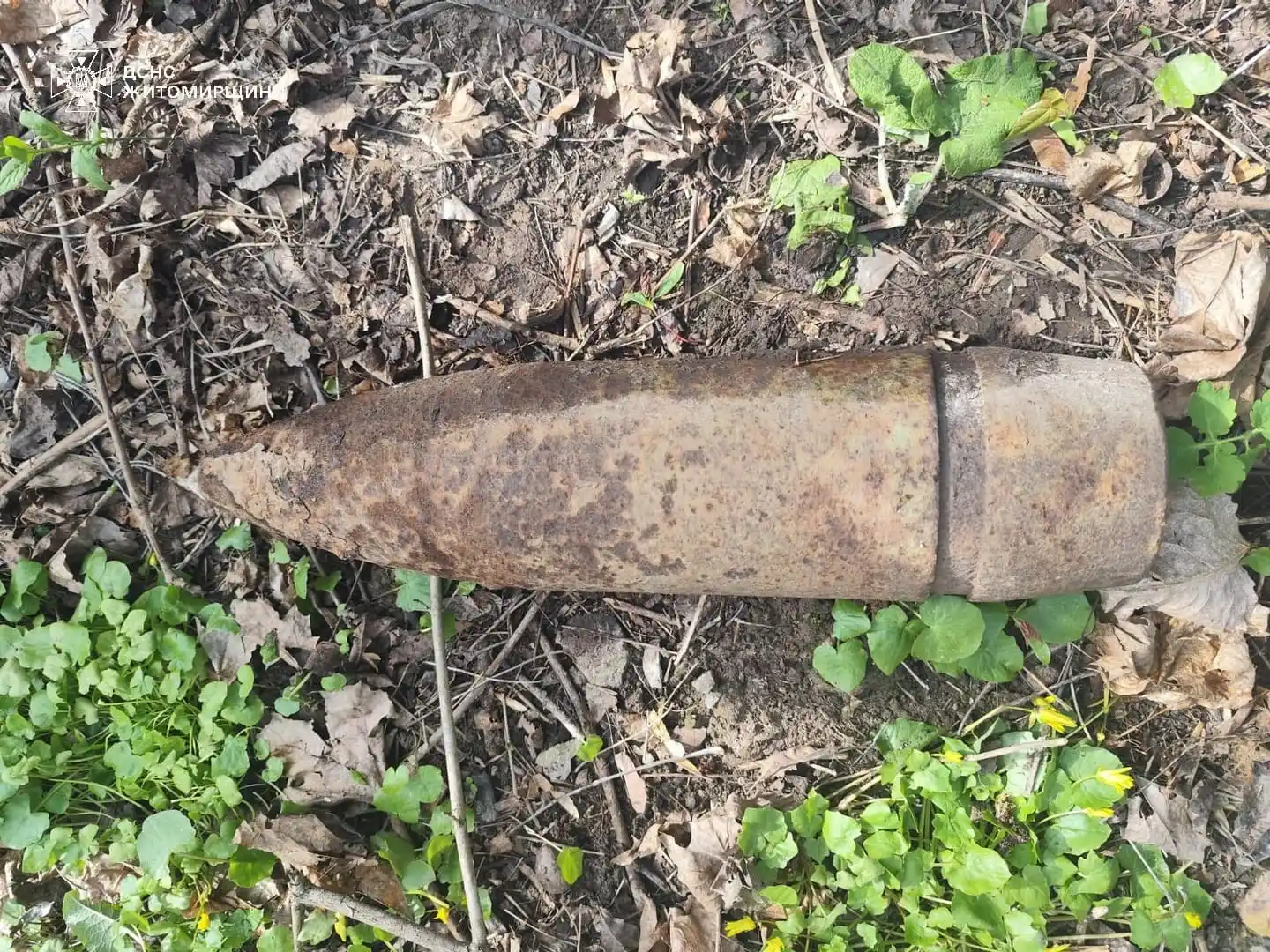 На городі замість врожаю – артснаряд: робота піротехніків на Звягельщині