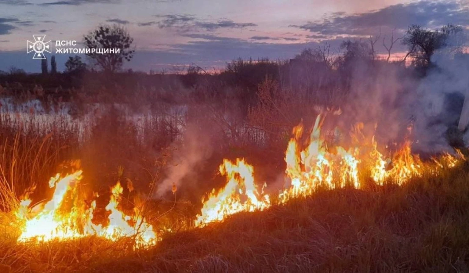 Вогонь на підступах до будинку під Андрушівкою змусив рятувальників працювати на випередження