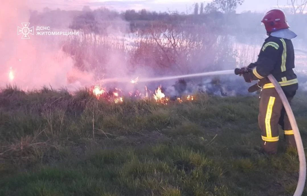 Вогонь на підступах до будинку під Андрушівкою змусив рятувальників працювати на випередження