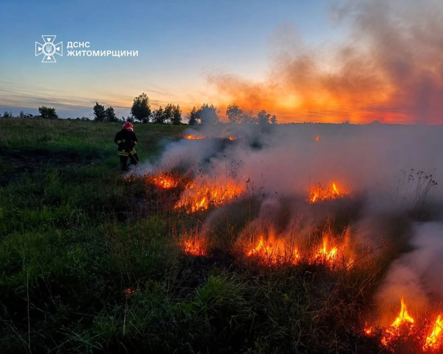 Масштабні підпали на Житомирщині за добу охопили гектари відкритих територій