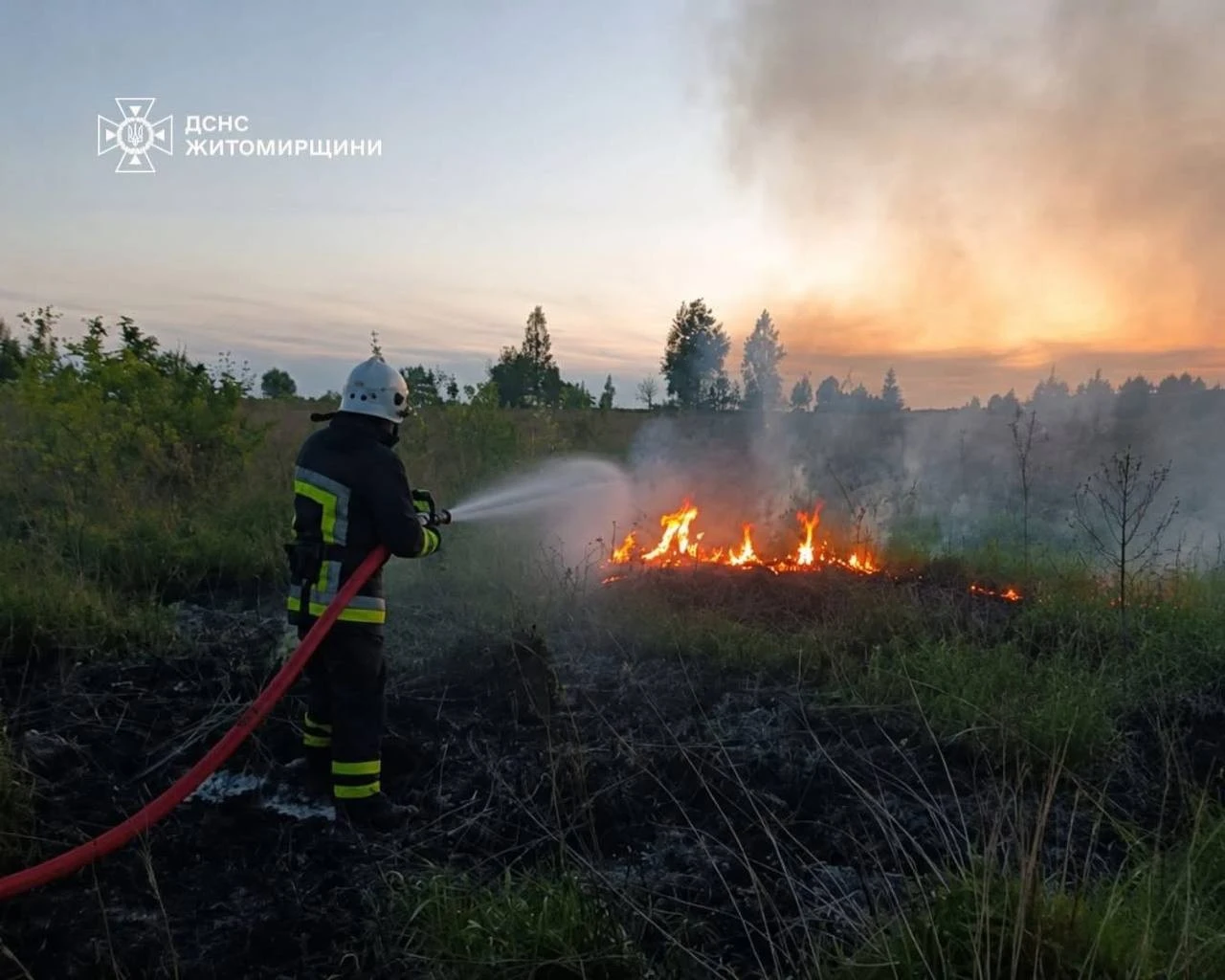 Масштабні підпали на Житомирщині за добу охопили гектари відкритих територій