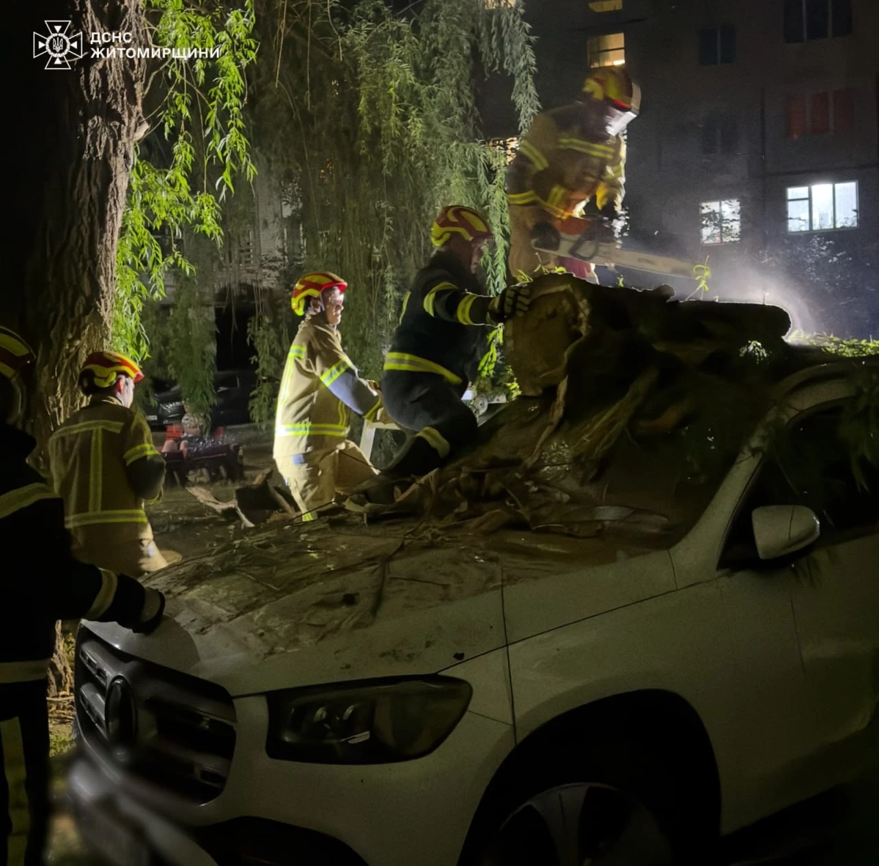 У Житомирі повалене дерево розтрощило легковик